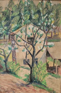 The Tree in Summer Light